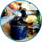 91桃色网站下载