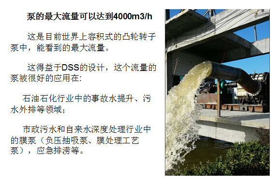 凸輪桃色在线视频观看 凸輪桃色在线视频观看