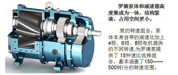 凸輪桃色在线视频观看 凸輪桃色在线视频观看