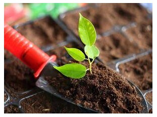 汙泥入土.jpg 汙泥入土.jpg