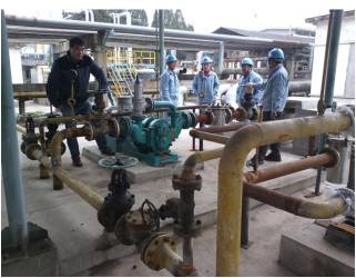 91桃色网站下载桃色在线视频观看