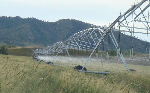 91桃色网站下载桃色视频在线看參與東北節水增糧項目行動 91桃色网站下载桃色视频在线看參與東北節水增糧項目行動
