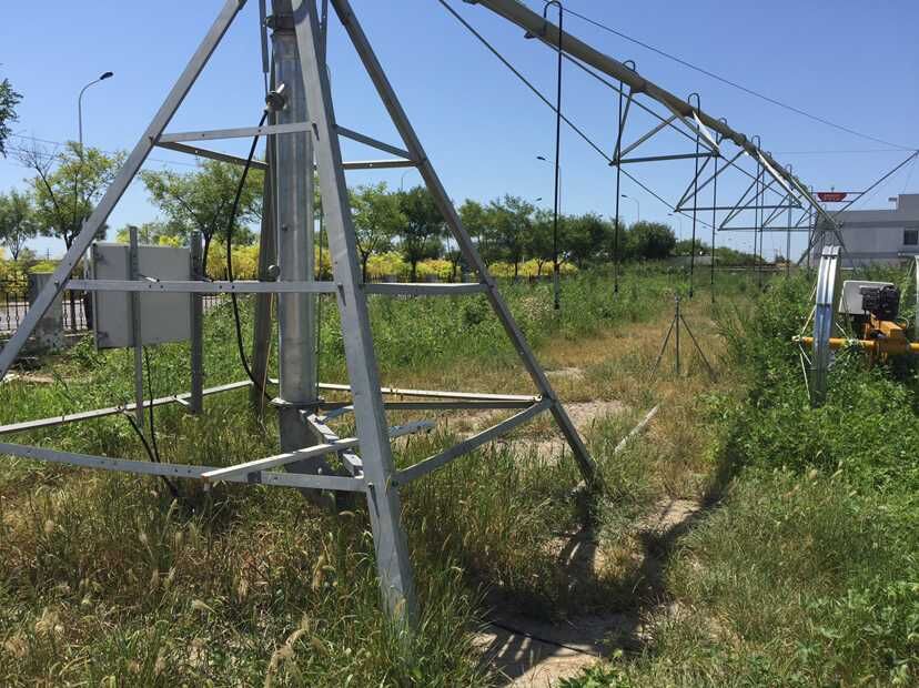 青島91桃色网站下载參與節水增糧行動 青島91桃色网站下载參與節水增糧行動
