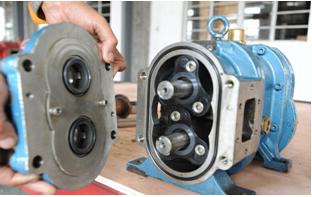 凸輪桃色在线视频观看的密封