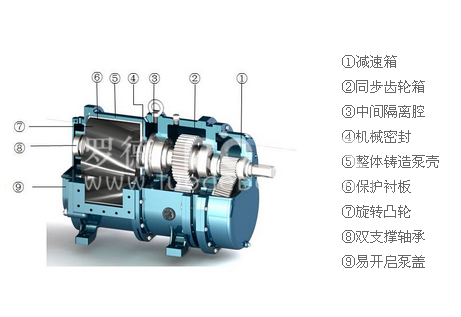 91桃色网站下载桃色在线视频观看