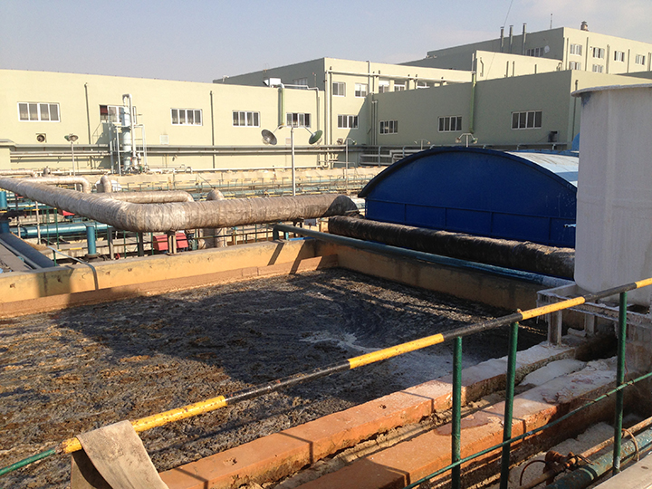 汙水廠汙泥 汙水廠汙泥