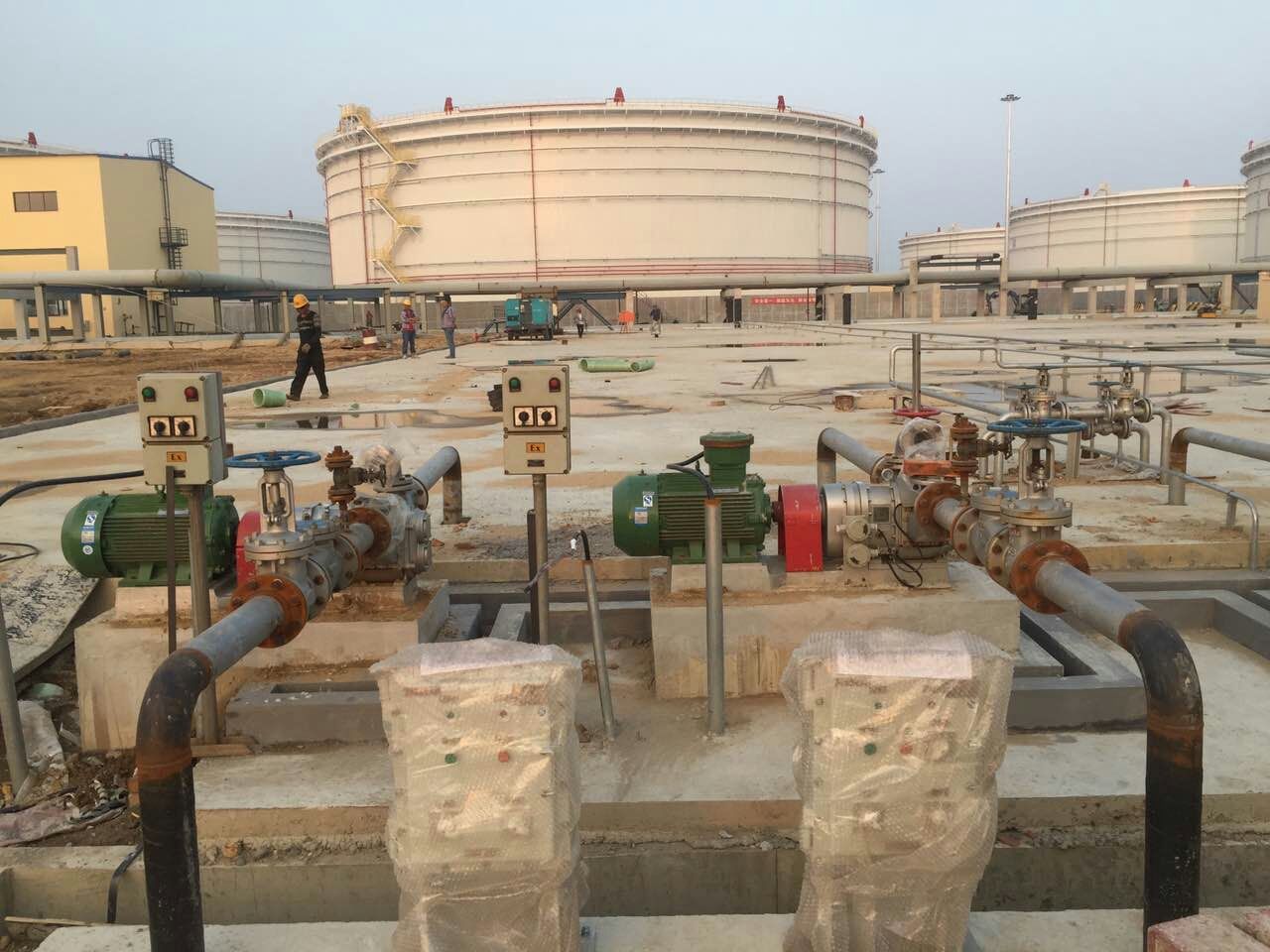 節能桃色在线视频观看