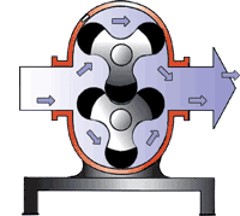 凸輪桃色在线视频观看 凸輪桃色在线视频观看