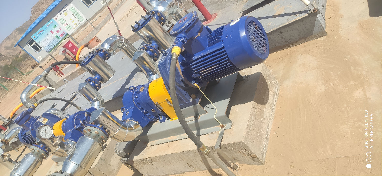 桃色在线视频观看