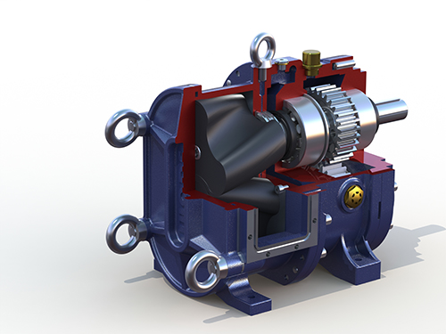 凸輪桃色在线视频观看泵頭剖麵圖
